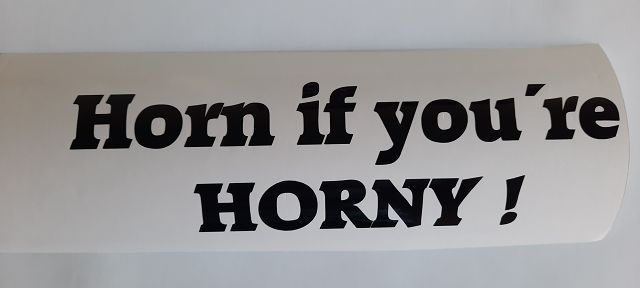 Horn if you´re HORNY ! Sticker